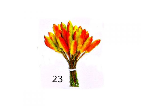 Cod. 23 - Maço de Pimentinha, com 30 frutinhas  de 14 mm